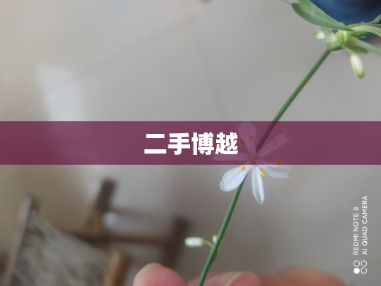 二手博越