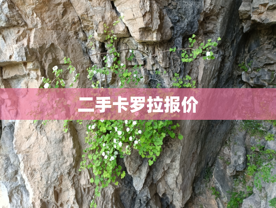二手卡罗拉报价