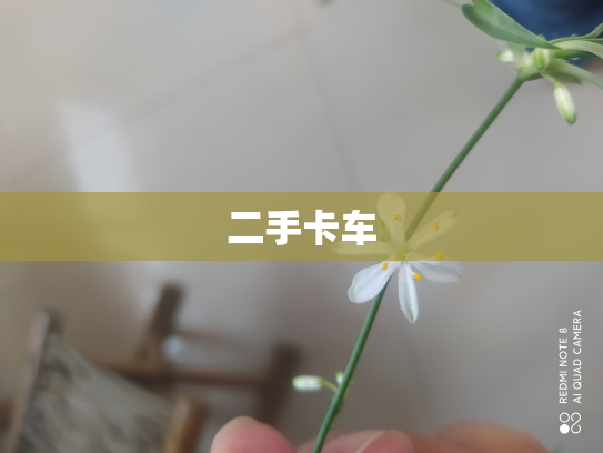 二手卡车