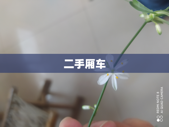 二手厢车