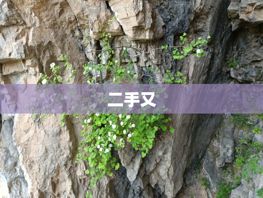二手又