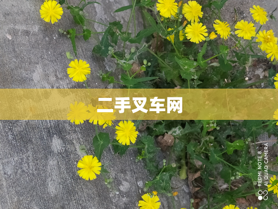 二手叉车网