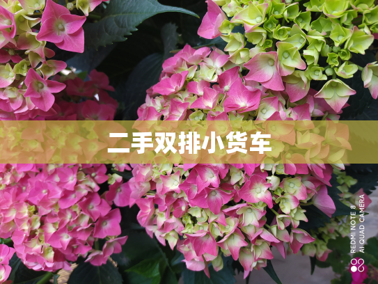 二手双排小货车