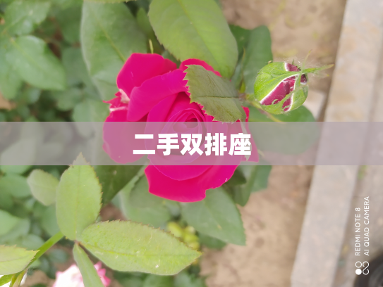 二手双排座