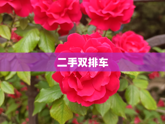二手双排车