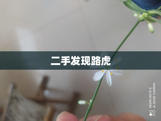 二手发现路虎