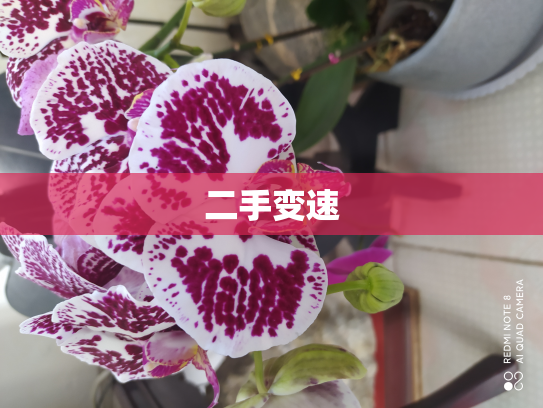二手变速
