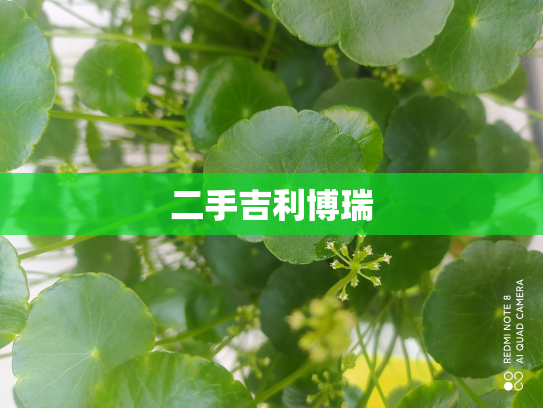 二手吉利博瑞