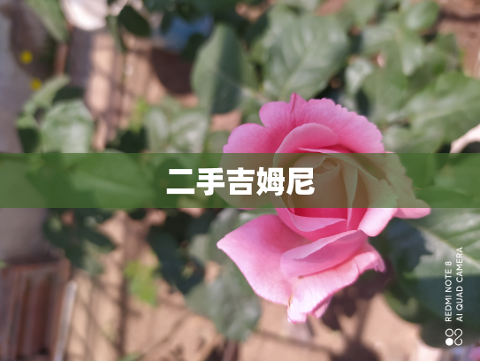 二手吉姆尼