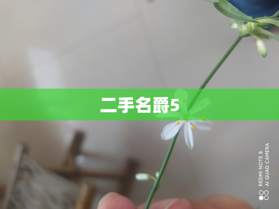 二手名爵5