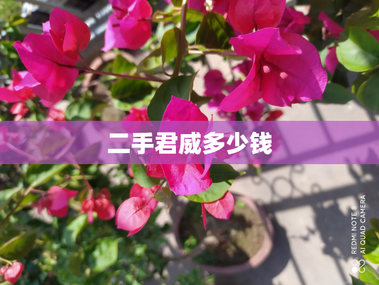 二手君威多少钱