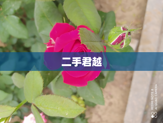 二手君越