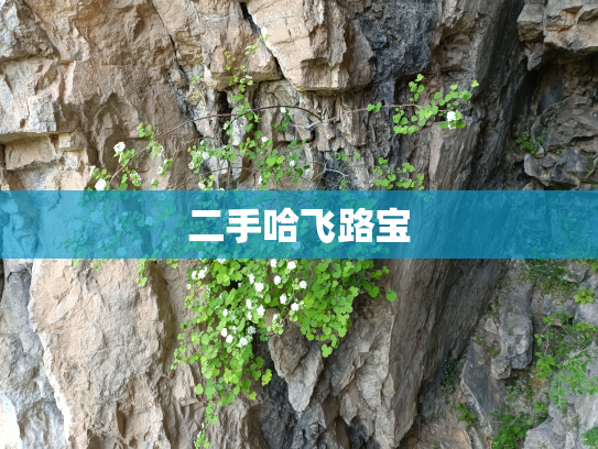 二手哈飞路宝