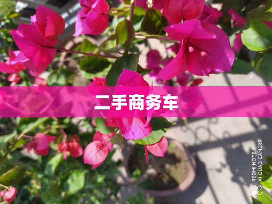 二手商务车