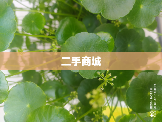 二手商城