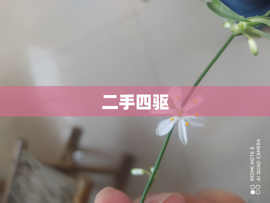 二手四驱