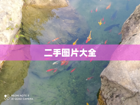 二手图片大全