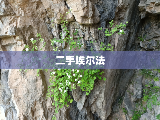 二手埃尔法
