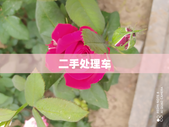 二手处理车