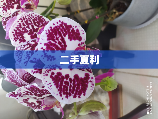 二手夏利