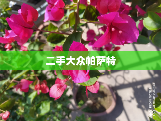 二手大众帕萨特