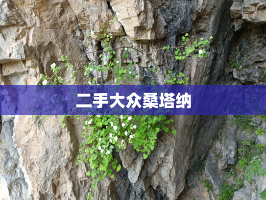 二手大众桑塔纳