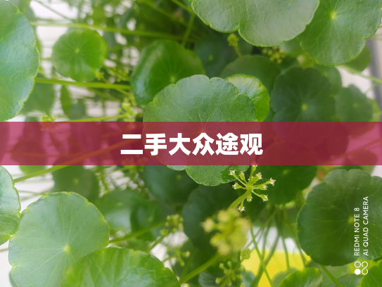 二手大众途观