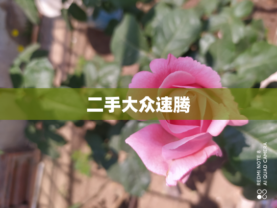 二手大众速腾