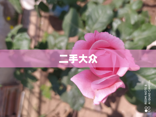 二手大众