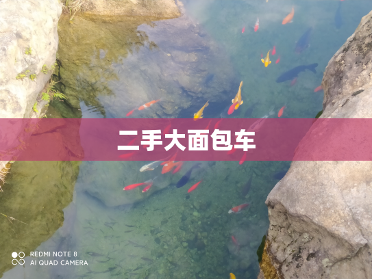 二手大面包车