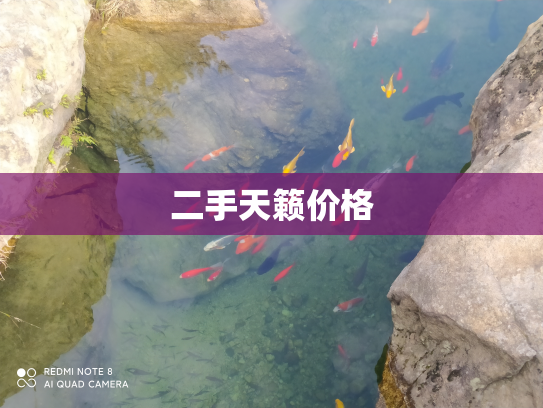 二手天籁价格