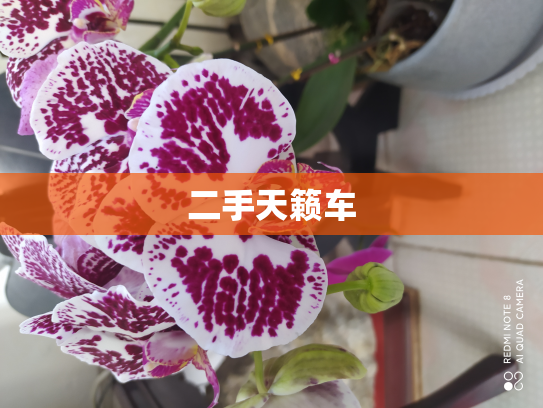 二手天籁车