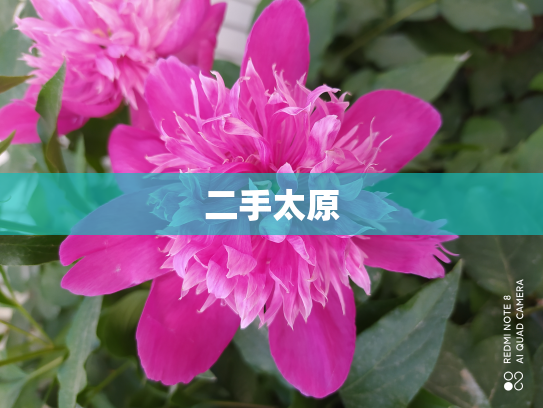 二手太原