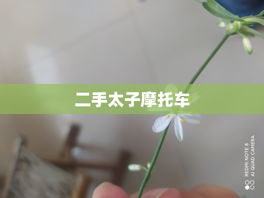 二手太子摩托车