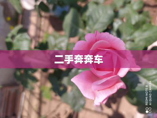 二手奔奔车