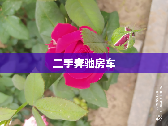 二手奔驰房车