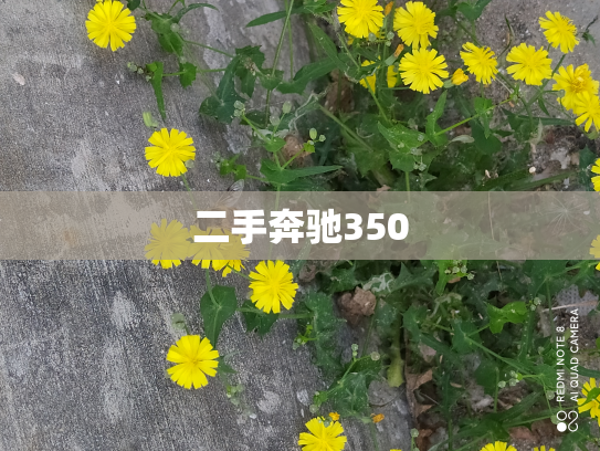 二手奔驰350