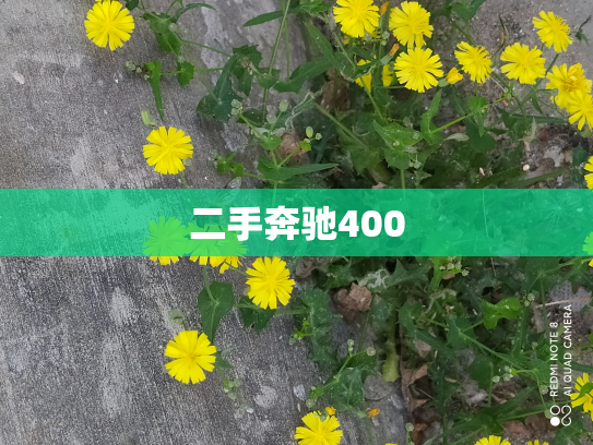二手奔驰400