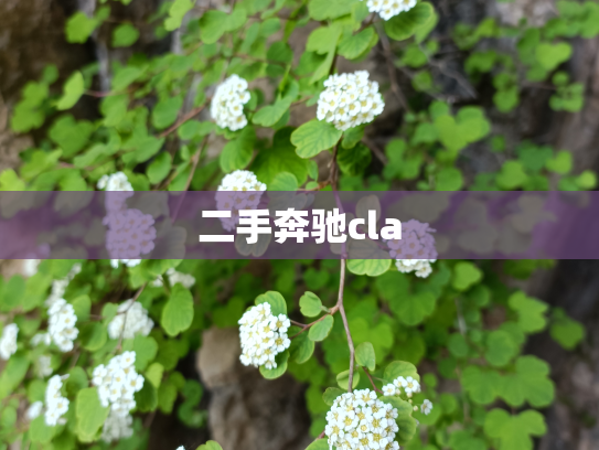 二手奔驰cla