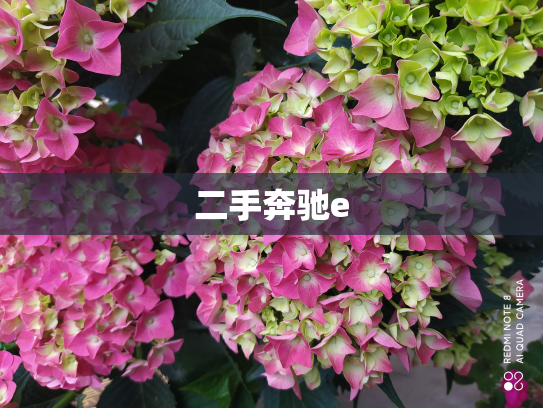 二手奔驰e