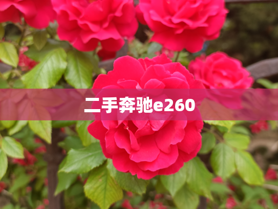 二手奔驰e260