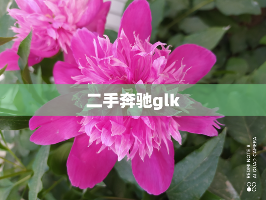 二手奔驰glk