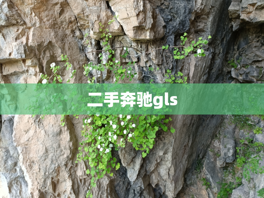 二手奔驰gls