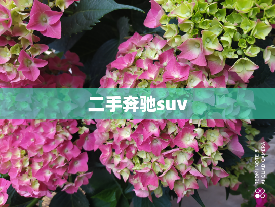 二手奔驰suv