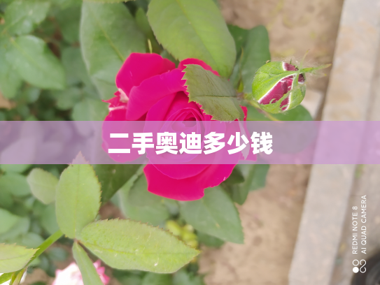 二手奥迪多少钱