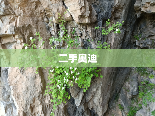 二手奥迪
