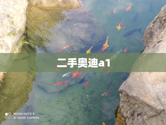二手奥迪a1