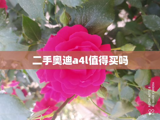 二手奥迪a4l值得买吗