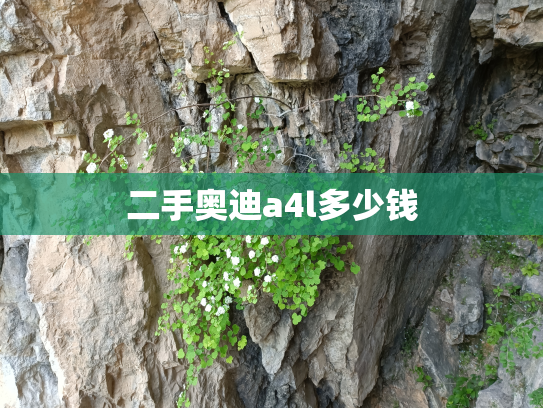二手奥迪a4l多少钱