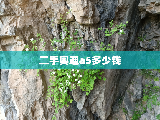 二手奥迪a5多少钱